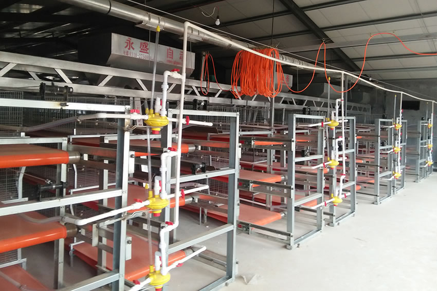 自動喂料機的改進(jìn)